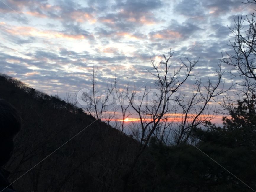해돋이,새해,새털구름,나무와해,새벽풍경,자연,풍경,nature,landscape,outdoors,옥외,sky,하늘,sunset,일몰,dusk,황혼,dawn,새벽,red sky,붉은 하늘