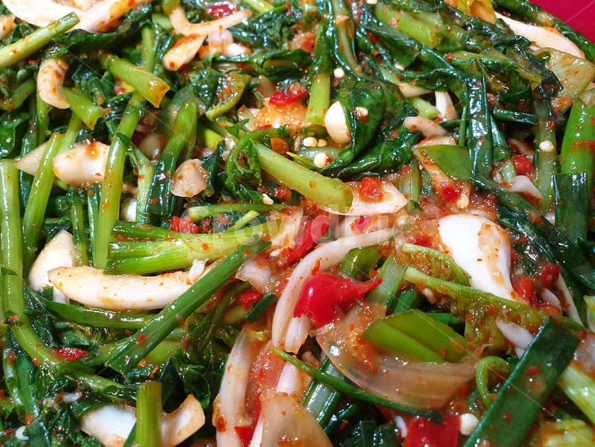 열무김치,음식,김치,김장,열무,음식,식재료,요리,food,cook,meal,dishes,food reserves,한식,한국음식,한국요리,korean food,korean dishes,korean meal,korean cook