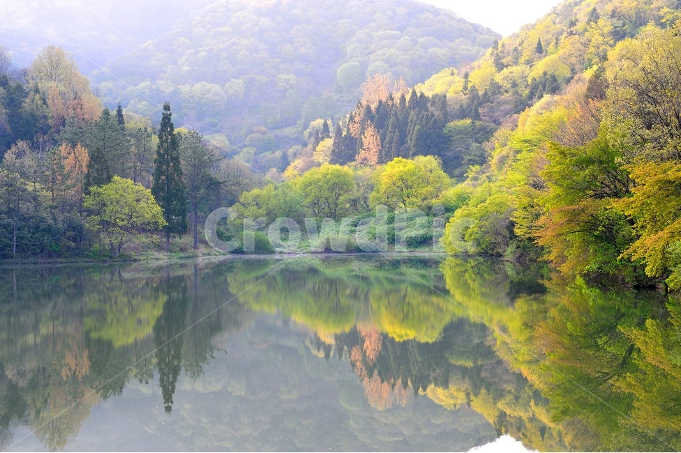 세량지,호수,자연풍경,산,호반,자연,풍경,nature,landscape,한국자연풍경,한국자연경관,korea nature landscape,outdoors,옥외,plant,식물,tree,나무,water,물,abies,아비,fir,전나무,painting,그림,art,미술