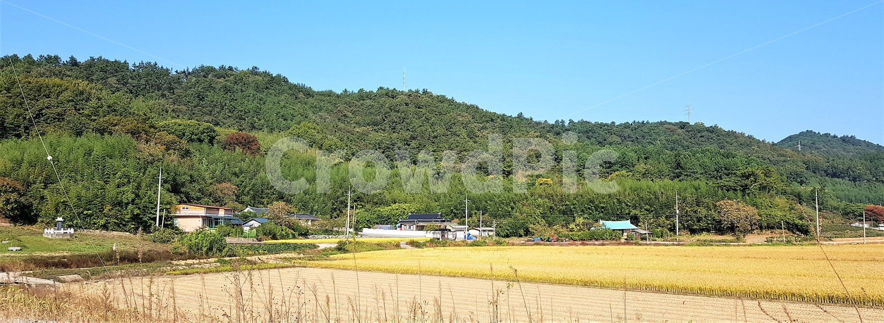 가을,자연,나무,하늘,구름,풍경,감성,trees,green,sky,nature,fall,autumn,산,들판,가을들판,벼,곡식,황금색,집,시골풍경,한국자연풍경,식물,가을,계절,fall,autumn,season,자연,풍경,nature,landscape,시골,마을,country,rural,town,outdoors,옥외