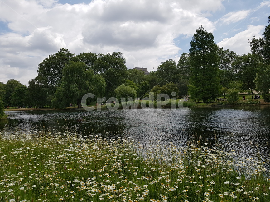 세인트제임스파크,세인트제임스공원,강가,숲,나무,꽃,하얀꽃,구름,파란하늘