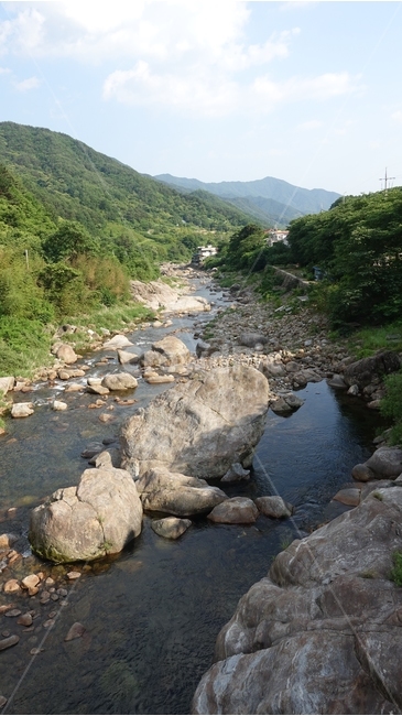 풍경,green,nature,자연,초록,경치,scenery,계곡,outdoors,옥외,water,물,바위,rock,하동,강,river