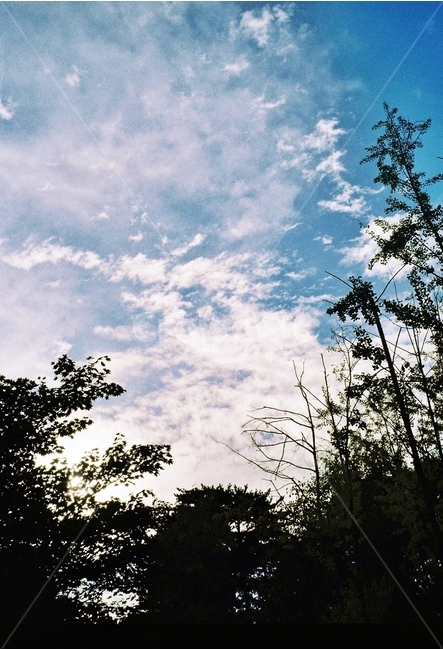 하늘,그림자,파랑,역광,나무,풍경,sky,shadow,blue,bluesky,skyblue,tree,backlight,landscape,감성,filmphotography,자연,풍경,nature,landscape,감성,sensible,feeling,outdoors,옥외