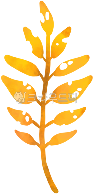 구멍난낙엽,나뭇잎,낙엽구멍,벌레먹은낙엽,구멍뚫린낙엽,구멍낙엽,단풍,단풍잎,수채화,수채단풍잎,수채화단풍잎,가을,예쁜단풍잎,가을감성,낙옆,낙엽,예쁜낙엽,예쁜낙옆,단풍축제