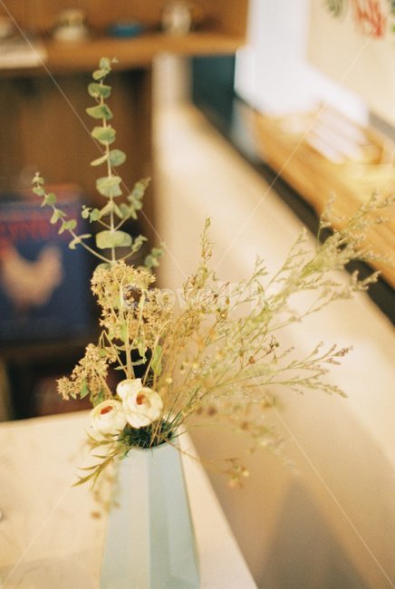 꽃,꽃병,장식,감성,필름,감성사진,필름사진,flower,vase,film