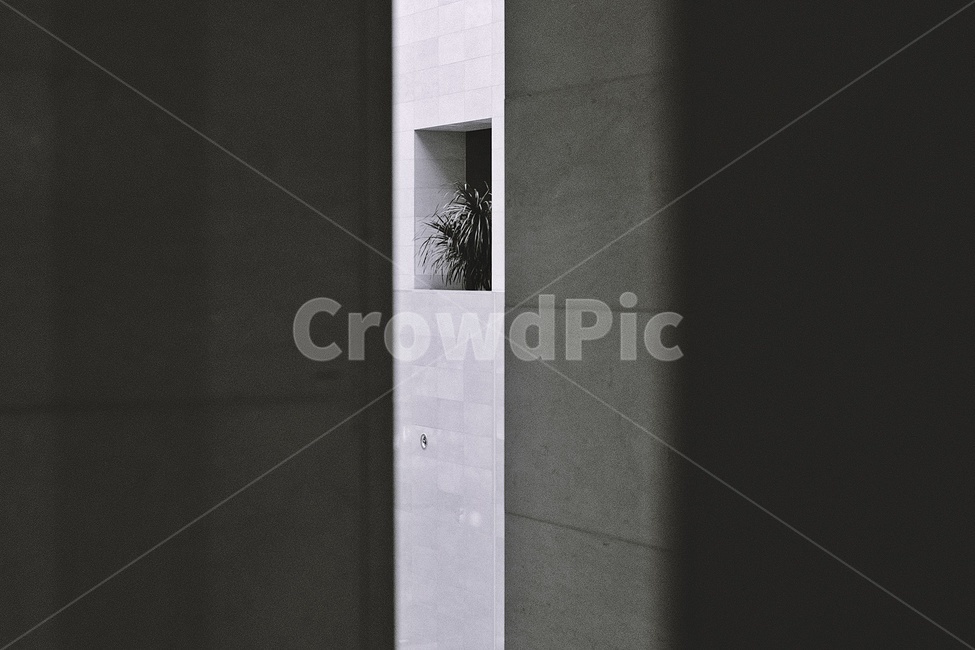 구조물,흑백사진,인테리어,대리석,공간,창문,window