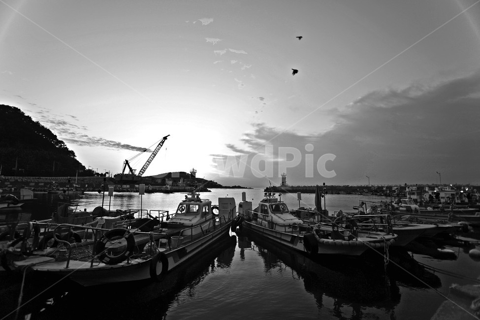 일출,바다,방파제,하늘,흑백사진,풍경,구름,수평선,아침,흑백,모노톤,monochrome,black and white,산업,industry,industrial,어업,fishery,fishing industry,교통,교통수단,traffic,transportation,water,물,waterfront,워터 프론트,pier,교각,port,포트