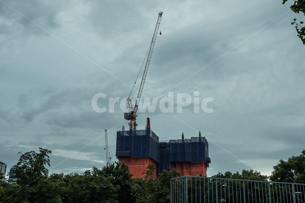 nature,자연,물,outdoors,옥외,고층빌딩,하늘,서울숲,숲,공원,건설크레인,constructioncrane