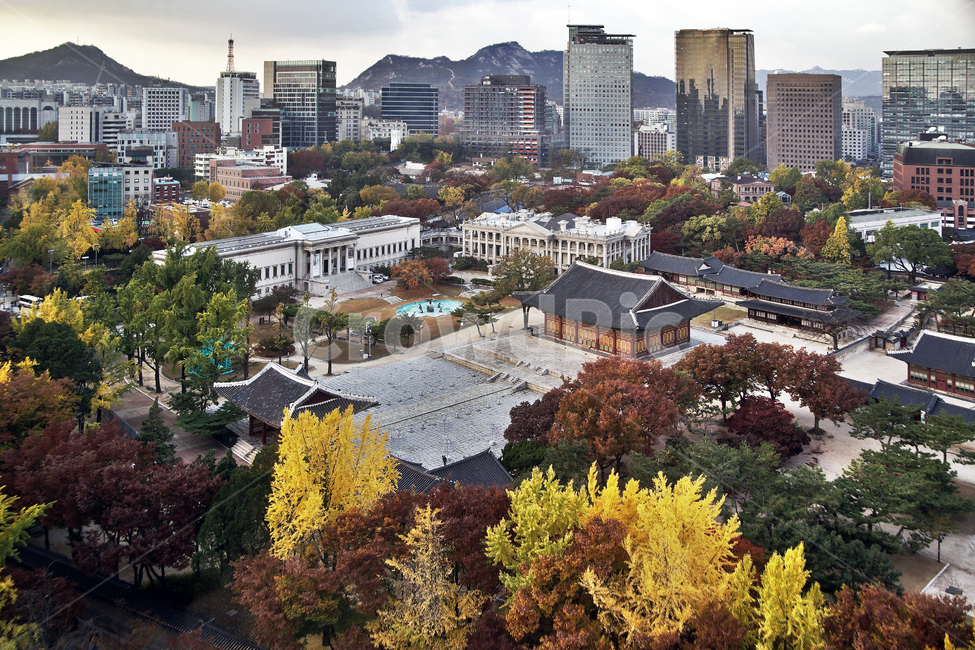 덕수궁,궁궐,가을,자연,도심,중화전,빌딩,건물,한국전통,한국문화,korean traditional,korean culture