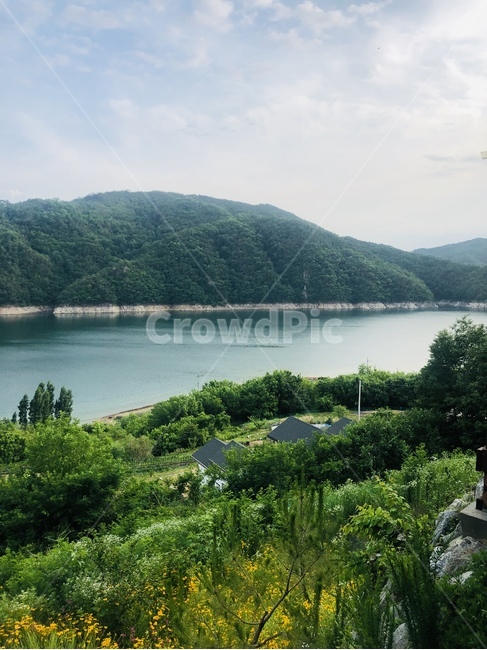 풍경,강,나무,자연,아웃도어,자연,풍경,nature,landscape,water,물,outdoors,옥외