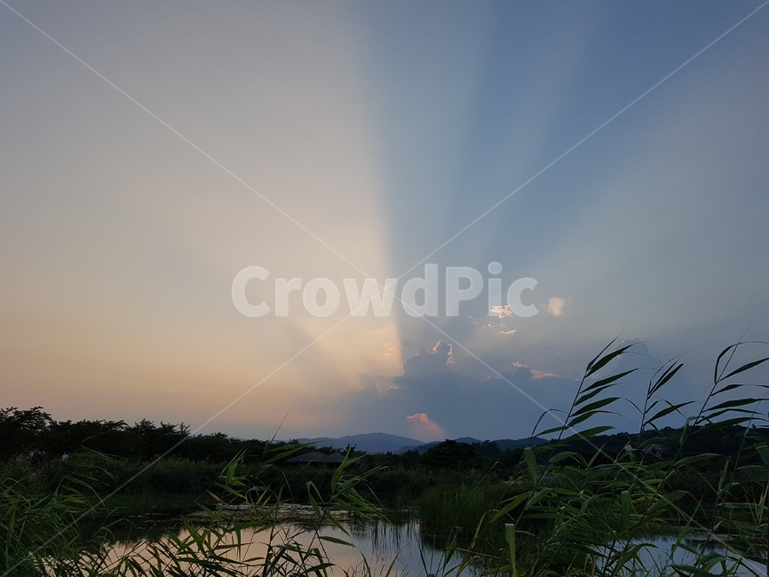 Suncheon,sky,reed field,cloud,sunlight,mountain,Suncheon Bay Park,Reed,sunset,lake,marsh