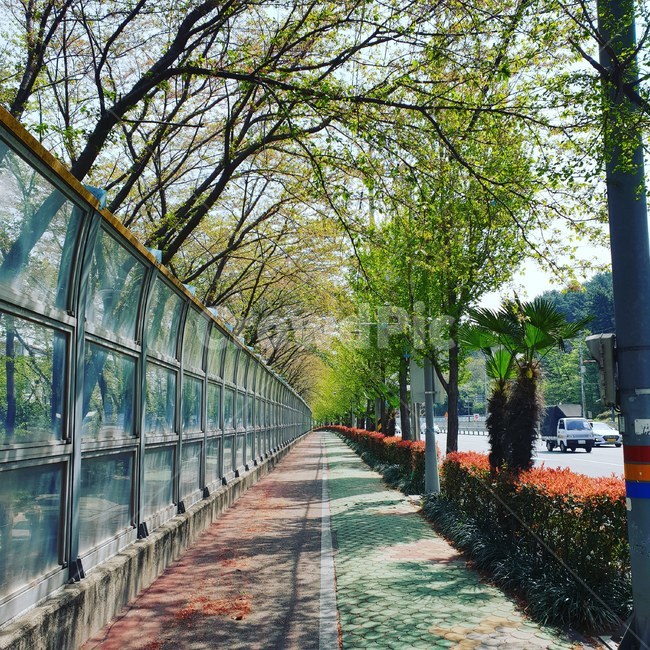 산책로,방음벽,가로수,보행로,자전거도로,자연,풍경,nature,landscape,bridge,다리,building,건물,outdoors,옥외,garden,정원,path,통로,arbour,정자