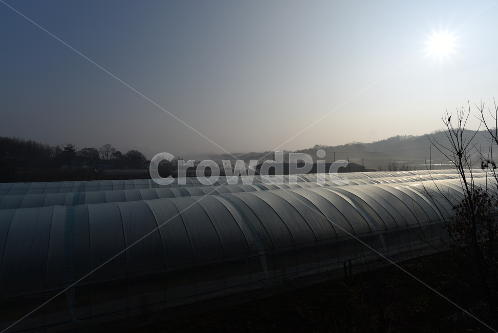 fall,fog,mist,안개,가을,풍경,자연,풍경,nature,landscape