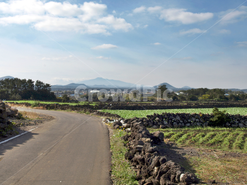 낯물밭길,올레21코스,올레,밭,농사,작물,제주,푸른하늘,구름,제주도,jeju,jeju island,시골,마을,풍경,landscape,country,rural,town,road,도로