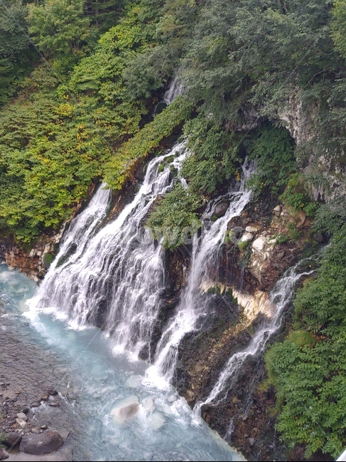 흰수염폭포,폭포,자연,waterfall,홋카이도폭포,시라히게노타키,shirahigenotaki,falls,자연,풍경,nature,landscape,river,강,water,물,outdoors,옥외