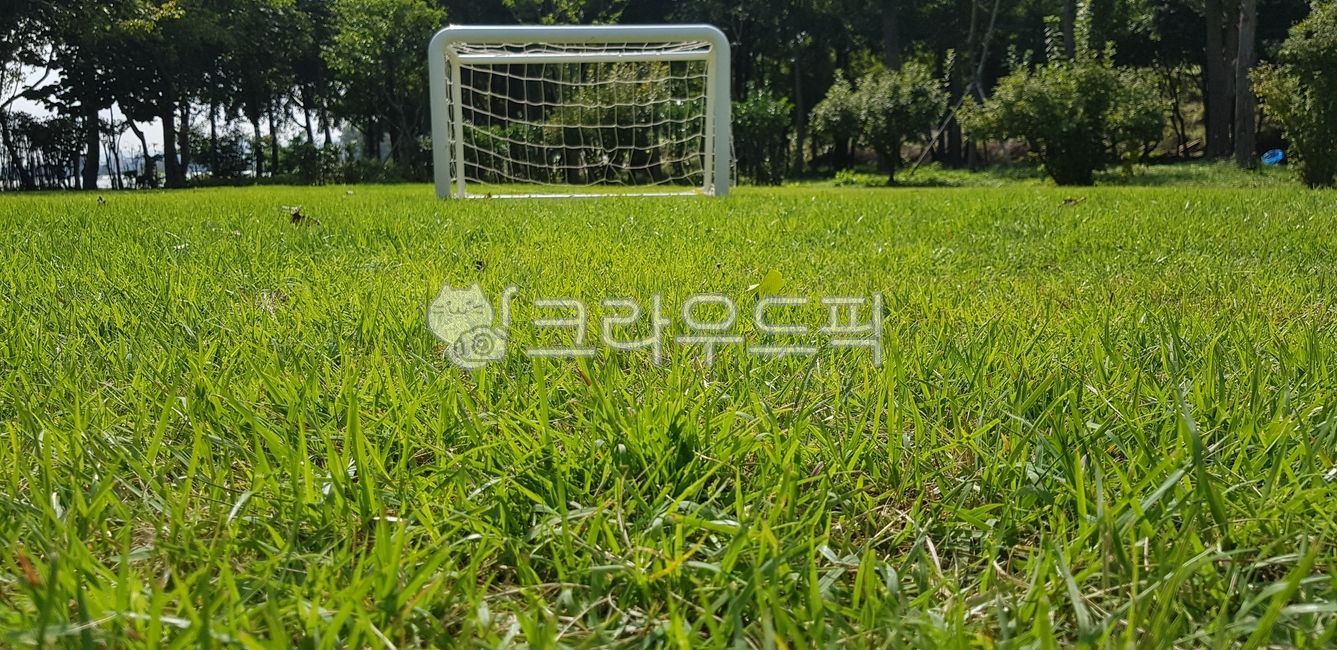 축구장,놀이공원,공놀이,축구,미니축구장