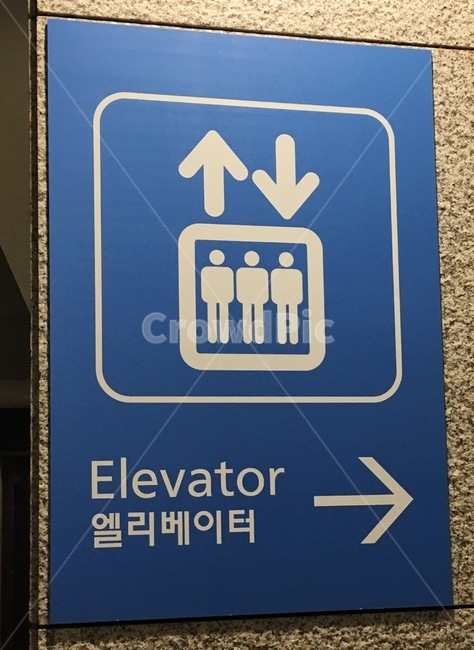 엘리베이터,표시,기호,상징,사인,픽토그램,파랑,elevator,sign,symbol