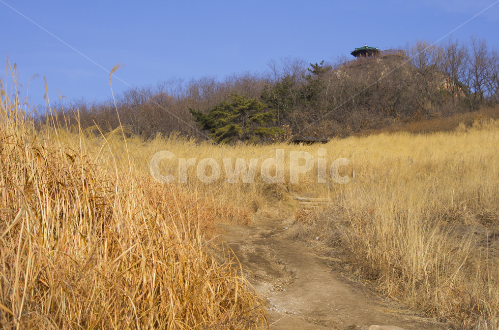 억새,갈대,정자,하늘,언덕,동산,풍경,풍경사진,감성,감성사진,정취