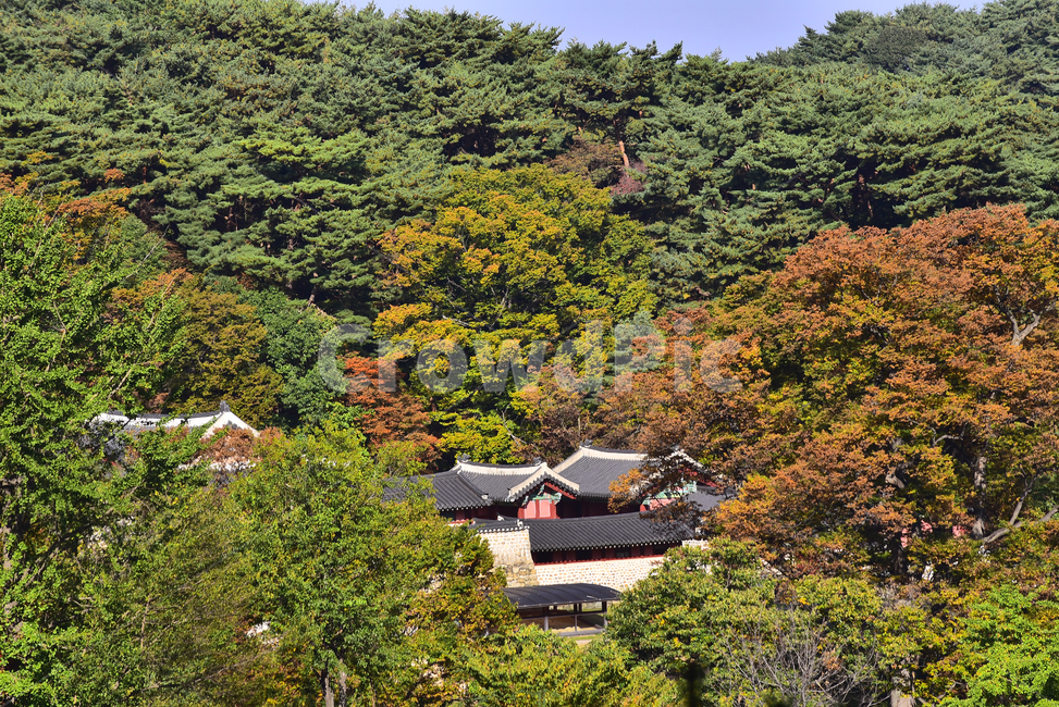 남한산성,세계문화유산,가을배경,한국전통,건축물,행궁,유네스코,unesco,보존,역사,복원,outdoors,nature,한국자연경관,숲,환경,야외,outdoor,기와집,자연,옥외,autumn,fall,season,배경,바탕,백그라운드,background,가을,계절,fall,autumn,season