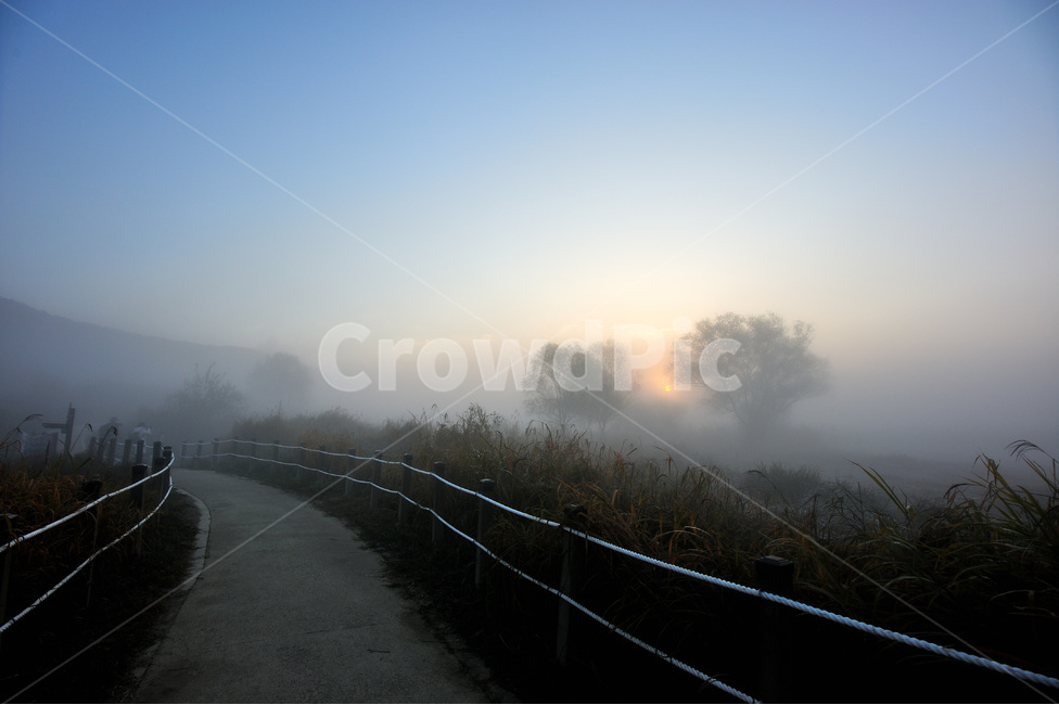 안개,화포천,김해,일출,오솔길,산책로,자연,풍경,nature,landscape,weather,날씨