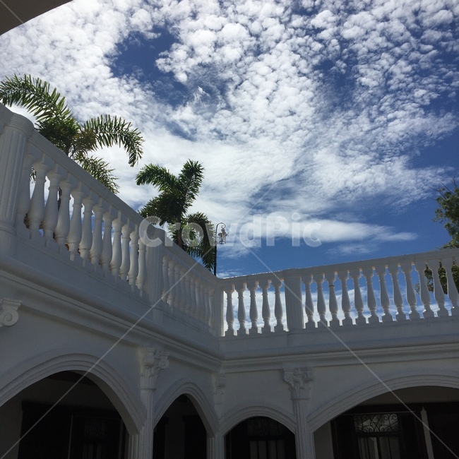 휴양,야자수,호텔,동남아,하늘,palmtree,philippines,hotel,rest,맑은하늘,구름,감성사진