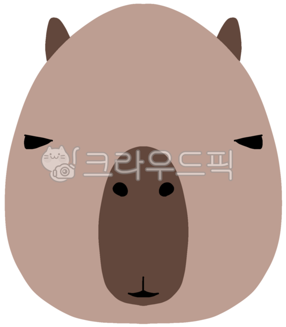 Capybara,capybara drawing,capybara illustration,animal character,animal drawing,character illustration,animal illustration,capybara face,capybara face drawing,capybara,capybaracharacter,cutecapybara,simplecharacter,pnggraphic