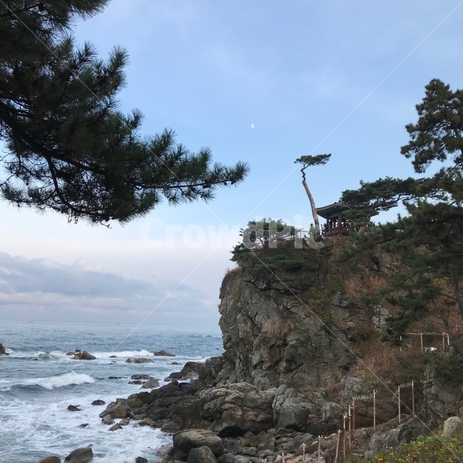 강원도,강원,하늘,바다,파도,풍경