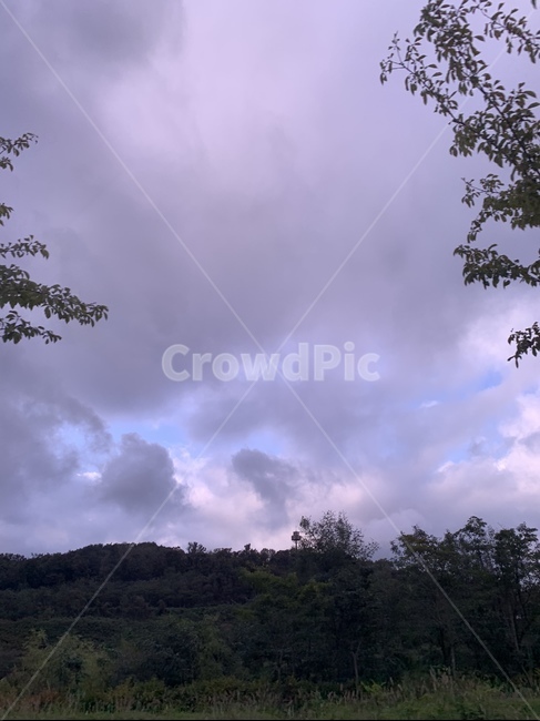 나무,판넬,하늘,구름,몽실몽실,자연,날씨,weather