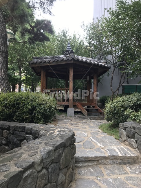 정자,휴식처,건강,쉼터,목조검물