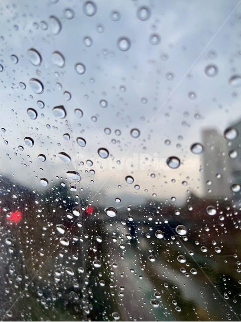 droplet,작은물방울,비,rain,물방울,비,비오는날,rain,rainy