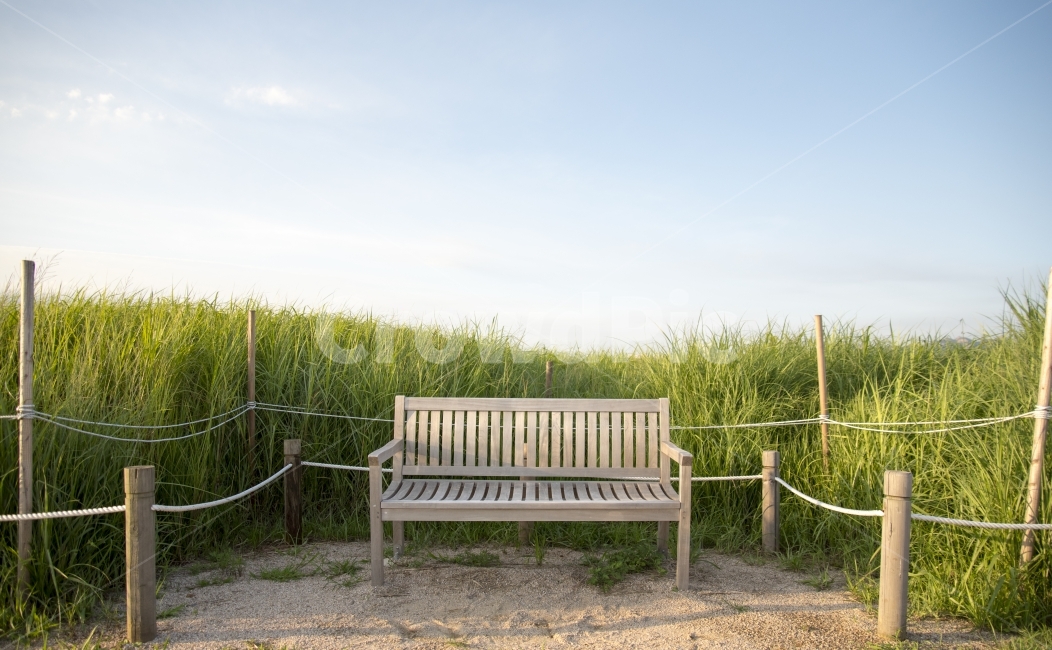 풍경,벤치,하늘,자연,공원,일상,휴식,힐링,rest,relaxation,healing