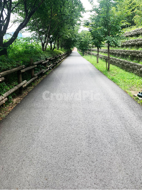 길,산책,산책길,둘레길,인도,조용한길,산책로,walk,자연,풍경,nature,landscape