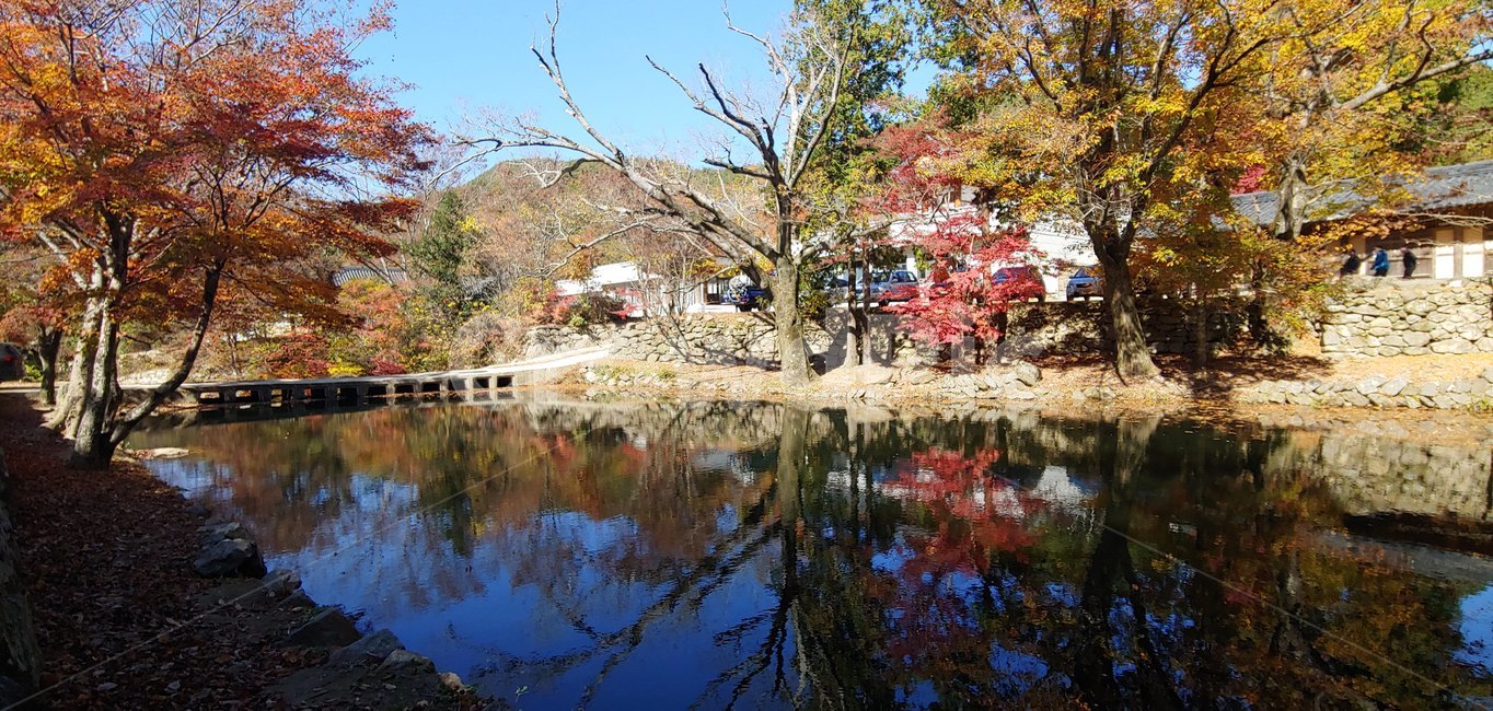 절,한산사,단풍,호수,plant,식물,tree,나무,물,자연,water,nature,outdoors,옥외