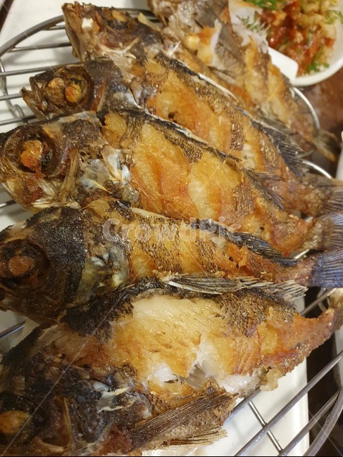 생선,구이,물고기,별미,밥반찬