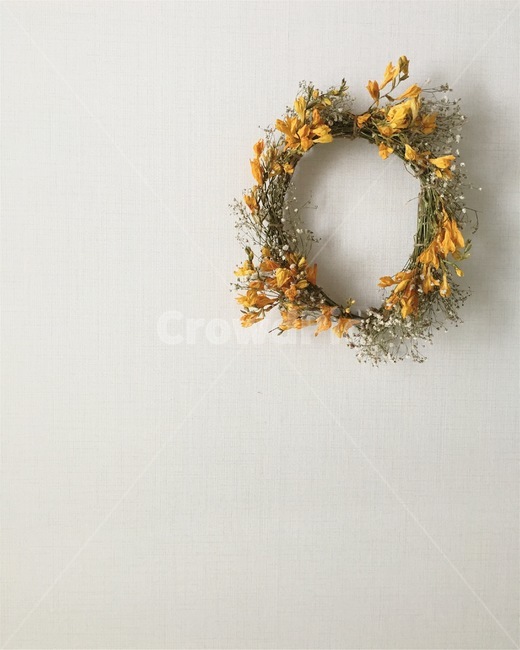 프리지아,yellowoo,wall,handmade,꽃