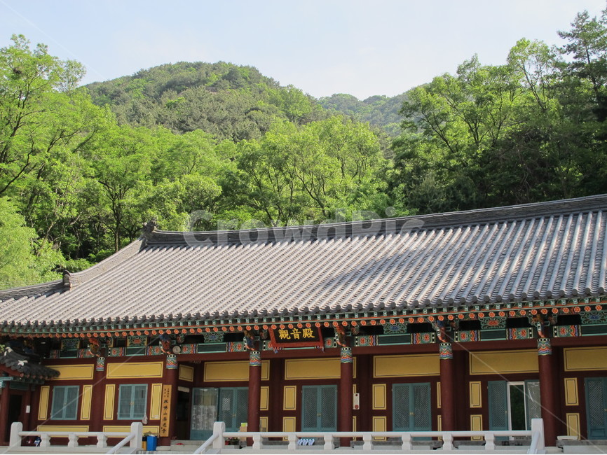 대구,대덕산,안일사,절,temple,기와,한국전통,한국문화,korean traditional,korean culture,종교,신앙,religion,belief,faith,건축물,건물외관,exterior,building,structure,architecture,construction