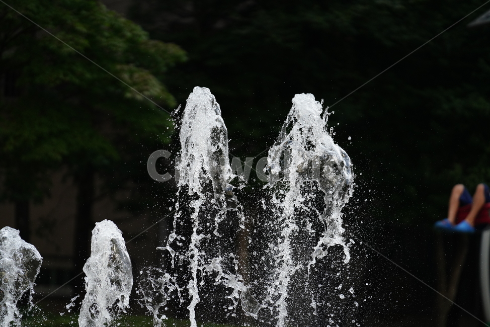 물,분수,워터,풍경,water,여름,계절,summer,season,fountain