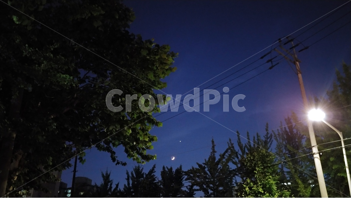 밤,가로수,달,어두운,조화,자연,풍경,nature,landscape,야경,밤,nightscape,night,outdoors,옥외