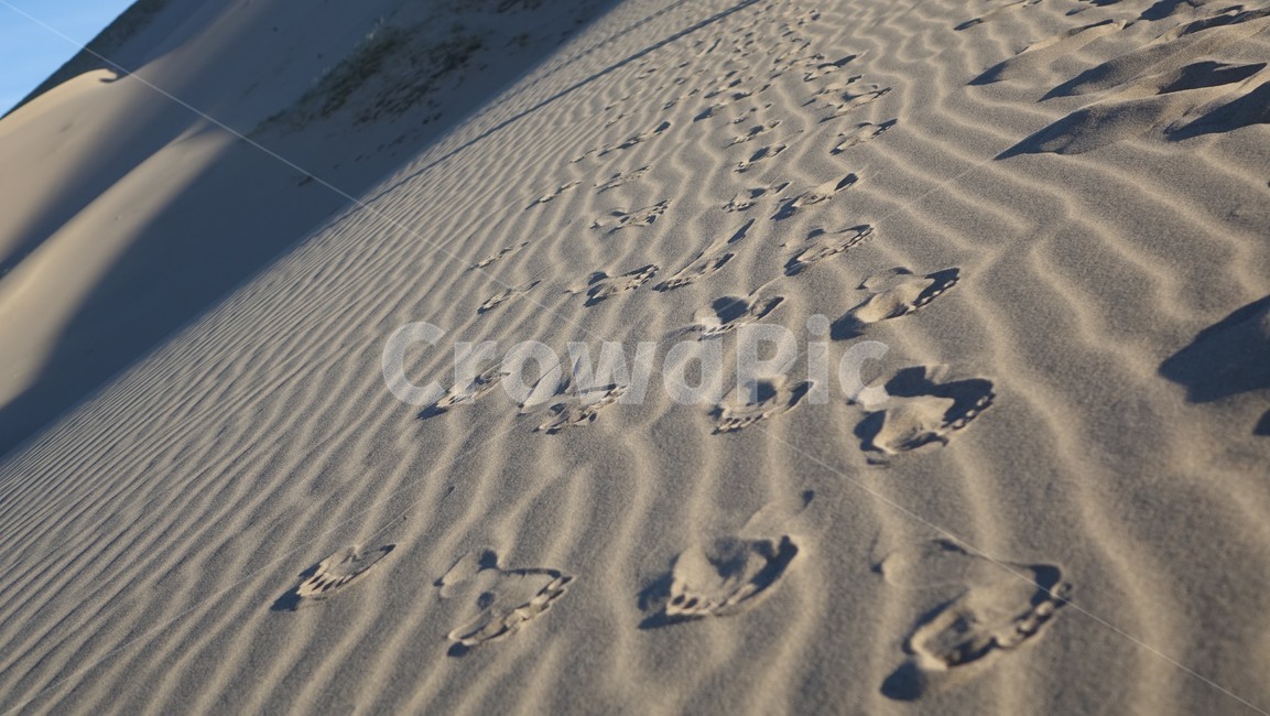 자연,언덕,모래언덕,모래,사막,nature,hill,dune,dessert,발자국,발바닥,맨발