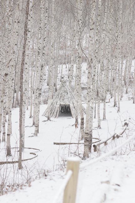 겨울,자작나무,오두막,눈,에스키모,숲,인제,겨울,계절,winter,season,자연,풍경,nature,landscape