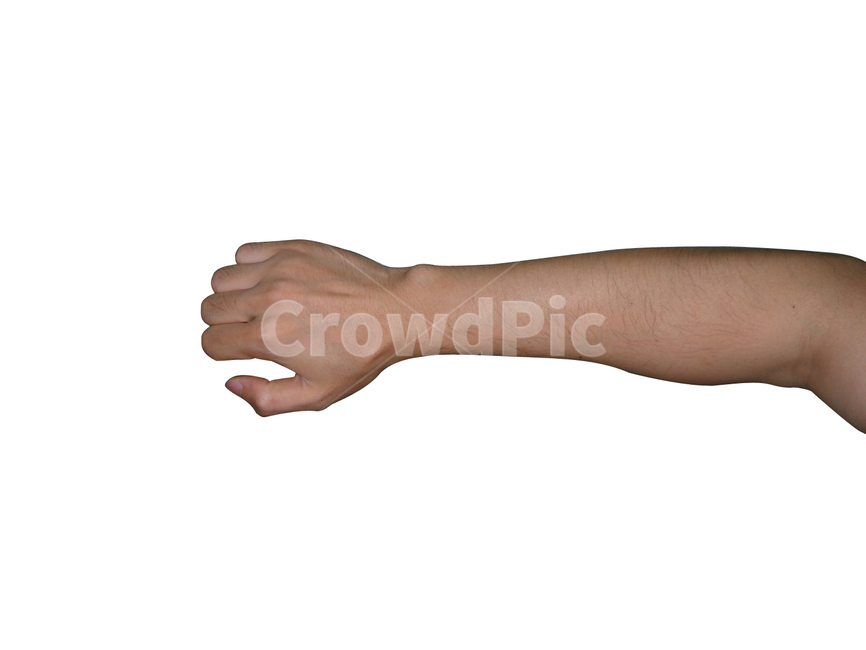 손,팔,손누끼,팔누끼,선택,hand,finger,workpath,path,사람,인물,인간,human,person,신체일부,몸,body,누끼,remove background