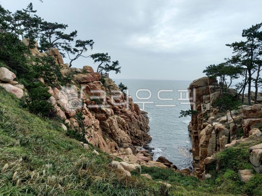 Cliff,pine tree,headland,cliff,nature,Daewangam,water,rock,superb view,promontory,ocean,outdoors,sight,park