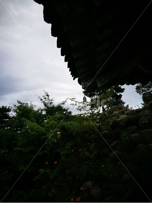 처마,처마끝,기와,여름,비개인후,한국전통,한국문화,korean traditional,korean culture