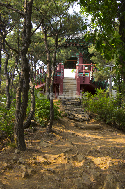 정자,등산,산길,나무,숲,pavilion,mountain,scene,view,feeling,emotion,nature,landscape,season,풍경,감정,감성,자연,계절,뷰티,summer,house,풍경사진,감성사진,정취