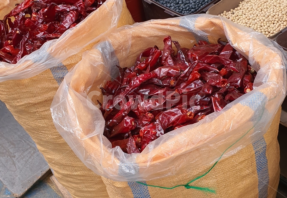 고추,포대,김장,열매,양념,고추농사,빨간고추,농업,재배,밭농사,향신료,캡사이신,매운맛,음식재료,식재료,김치양념,hotpepper,chilipepper,자극적,식물,시골,하우스,잘익은,레드,빨간색,건조,음식,요리,food,cook,채소,야채