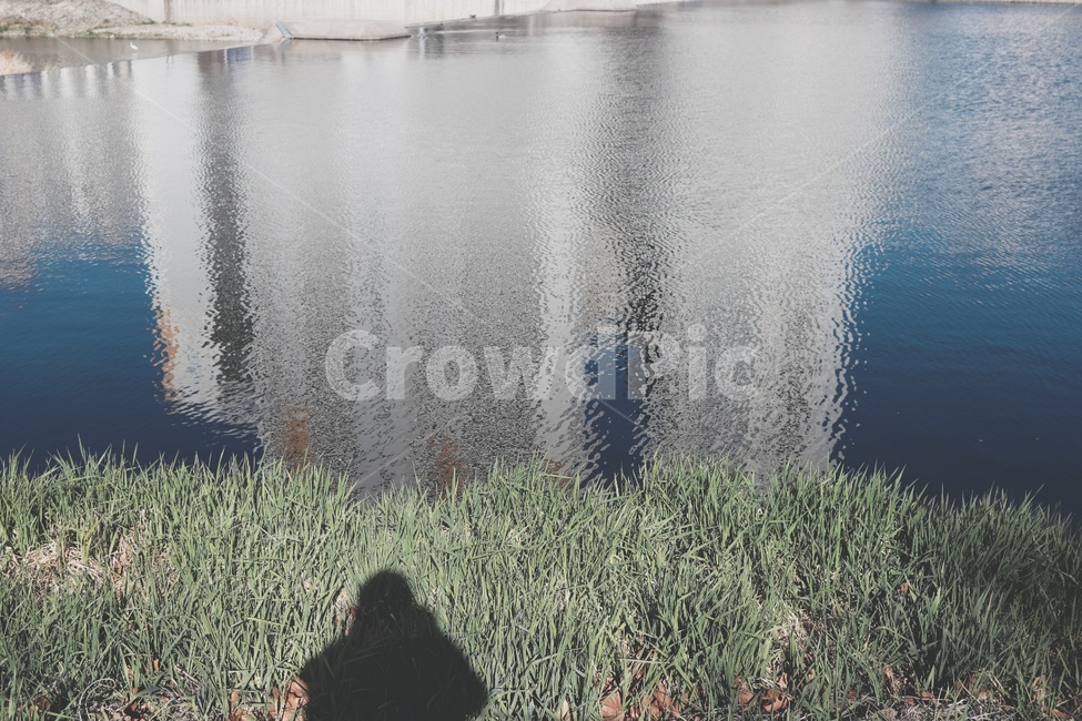 강,그림자,풀,아파트,호수,자연,풍경,nature,landscape,water,물