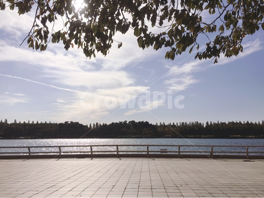 walkway,호수,난간,통로,보도,banister,나무,하늘
