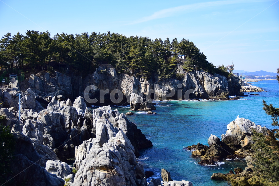바다,바위,파도,해변,풍경,landscape,자연,nature,강원도,삼척,바다풍경,바닷가,삼척해변