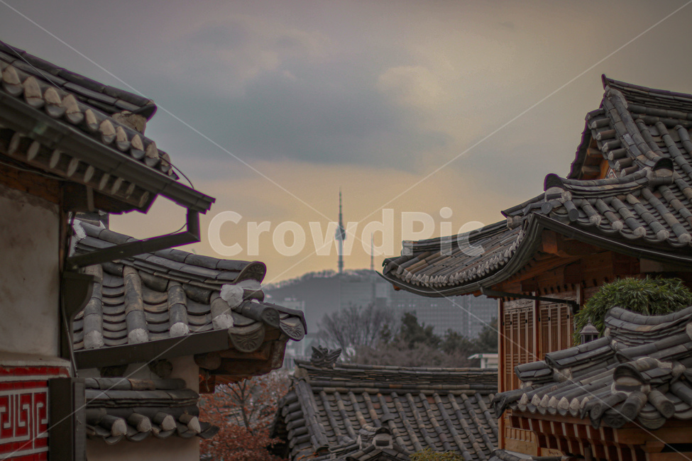 한옥마을,남산,남산타워,랜드마크,북촌한옥마을,서울,조화,한옥,건물,서울풍경,peaceful,평화로운,편안한,휴식처,힐링,안락한,따뜻한,warm,분위기,한국도시경관,도시풍경,한국,맑은,깨끗한,청명한,한국도시풍경,풍경,color,색감,색채,계절,season,색깔,색상,한국전통,한국문화,korean traditional,korean culture,건축물,건물외관,exterior,building,structure,architecture,construction