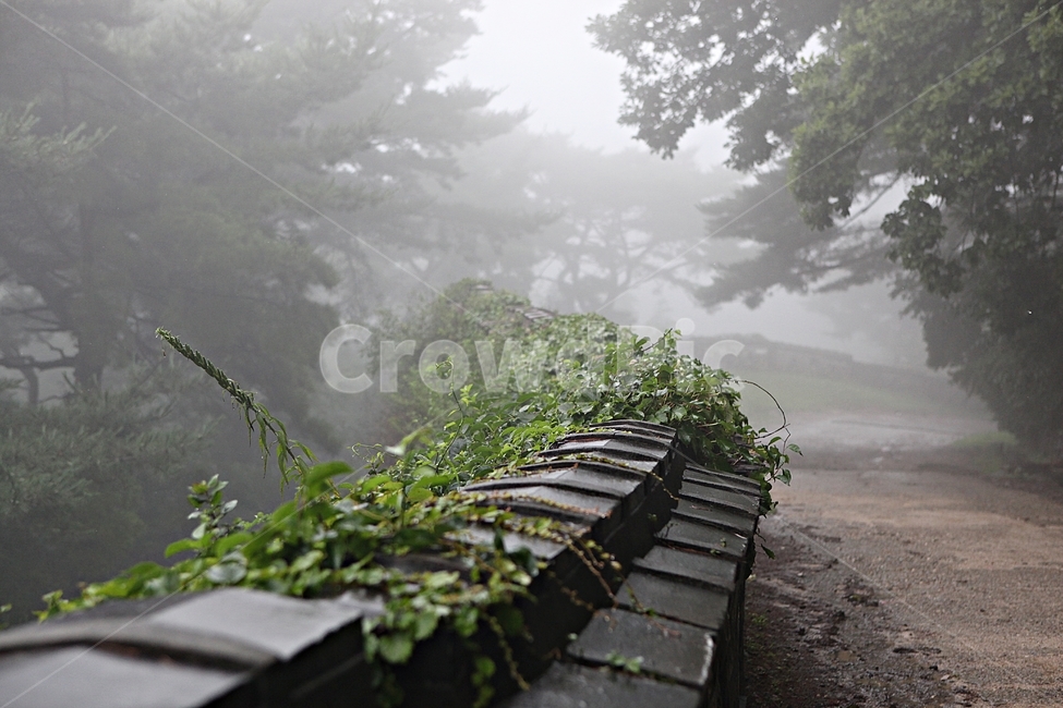남한산성,성,성곽,길,둘레길,안개,담,돌담,숲,숲길